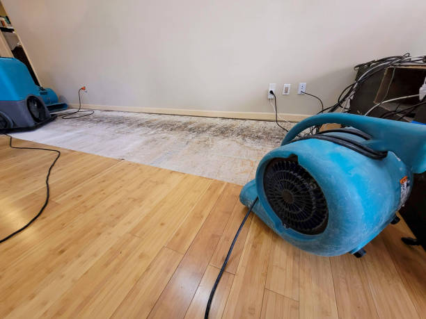 Professional Flood Damage Cleanup technician working in Scotts Valley, CA